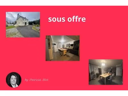 pluherlin - proximité immédiate des commerces charmante maison familiale avec terrain arbo