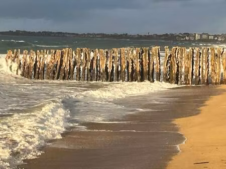 location appartement chambre meublé à saint-malo (35400) : à louer chambre meublé / 60m² s