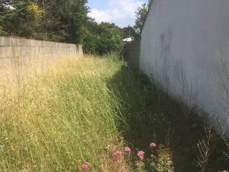 terrain constructible