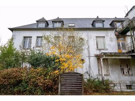 immeubles - 2 703 m² - quintin (22)