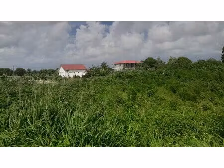 capesterre de marie-galante terrain constructible à vendre de 5