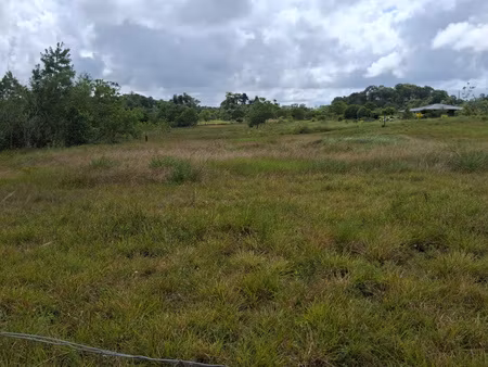 terrain 3381 m2 -constructible - kourou