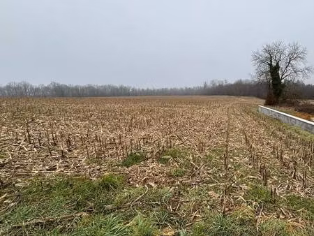 terrain constructible viabilisé à vendre