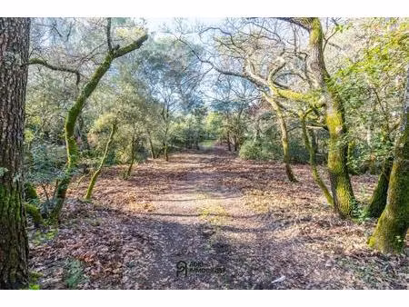 terrain à vendre 1 299 m² constructible – quartier résidentiel en impasse  environnement c