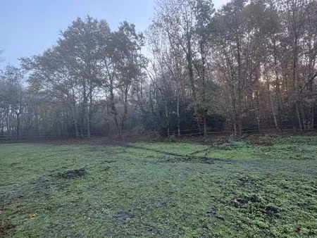 terrain 3 871 m² canejan