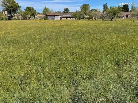 terrain 1 135 m² villereal