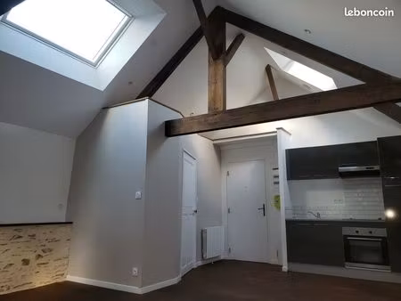 appartement  grand studio