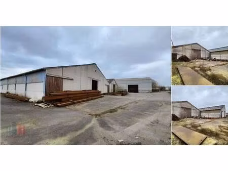 surface industrielle à louer à industrieweg 7 zwevezele (rbv24785)