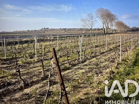 vente terrain 41 995 m²