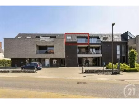 appartement te huur in tielt-winge met 2 slaapkamers