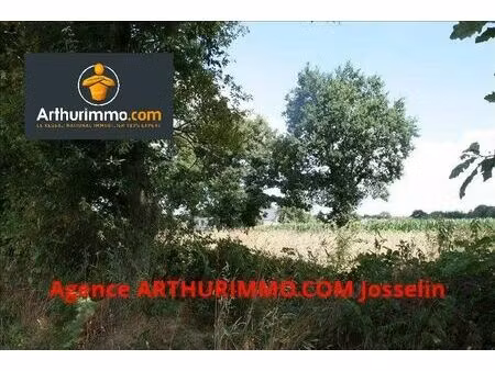 vente terrain 4000 m2 à guillac