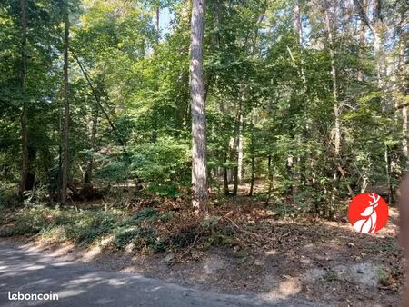 terrain 1 695 m² montigny sur loing