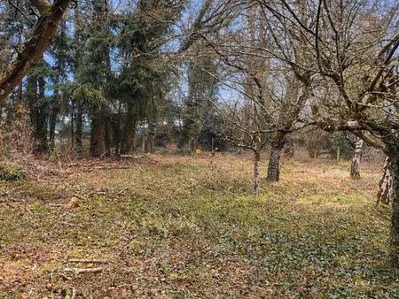 terrain arboré 1263m²
