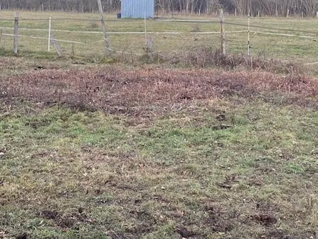 recherche hectares à acheter