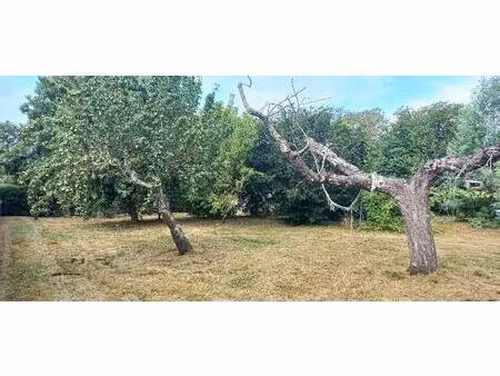 terrain à bâtir à montpon-ménestérol (24700)