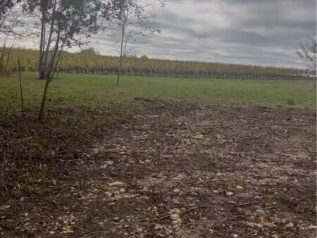 vente terrain 5000 m² langoiran (33550)