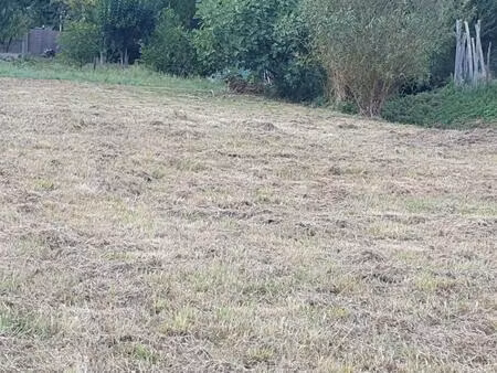 terrain à bâtir à saint-romain-la-virvée (33240)