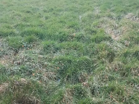 vente terrain à bâtir 2 237 m²