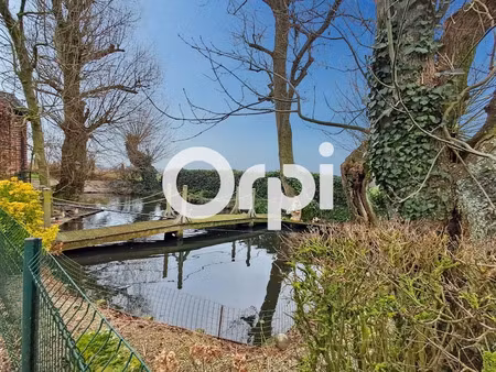 vente maison 5 pièces 144 m² à hondschoote (59122)  365 500 €