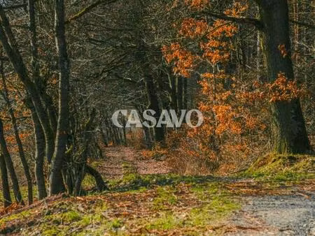 vente parking de 5167m² - 33670 sadirac