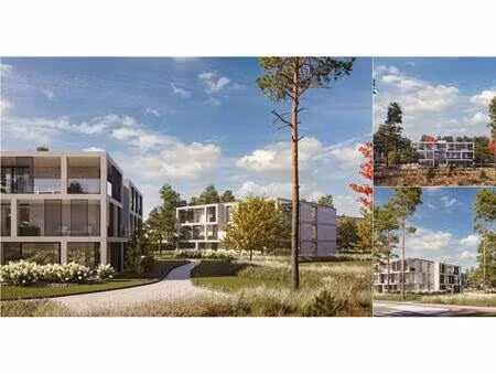 rez-de-chaussée à vendre à dennendreef 24 vosselaar (rbv24832)