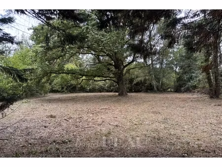 annonce terrain à vendre