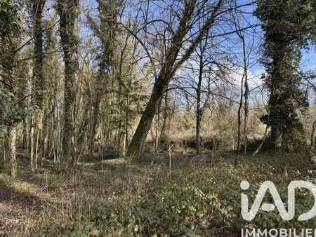 vente terrain piscine à saint-phal (10130) : à vendre piscine / 5430m² saint-phal