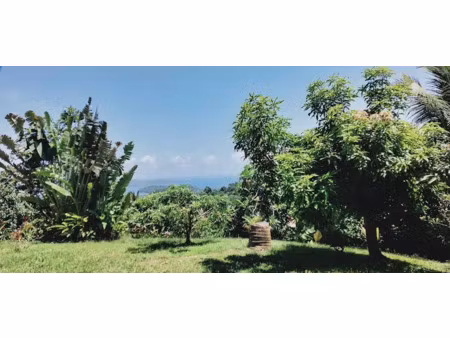 vente maison à le robert (97231)  495 000 €