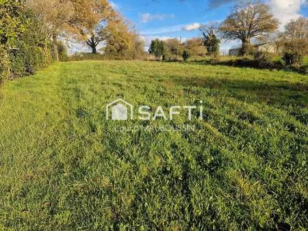 vente terrain à grand-auverné (44520) : à vendre / 700m² grand-auverné