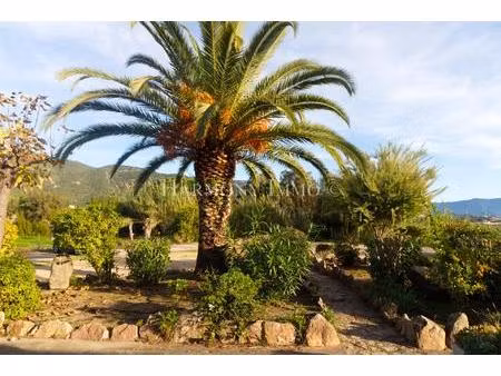 sagone - duplex 40m2 pieds dans l'eau - plage à 20m - terrasse & jardin