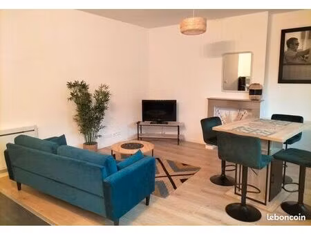 appartement meublé 1 chambre rénové plein centre