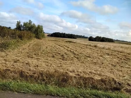 terrain 200 m2 couddes