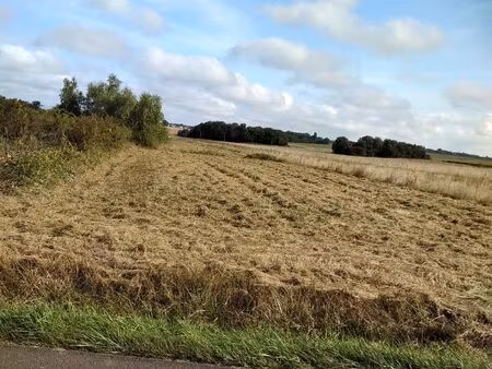 terrain 300 m2 couddes : 50