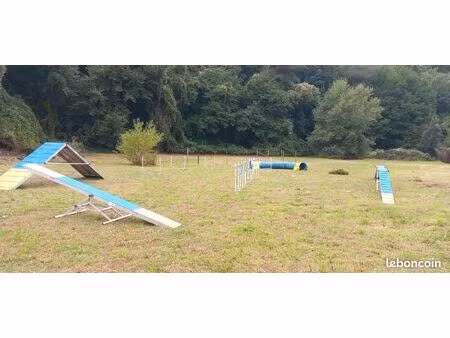 fond de commerce éducation canine