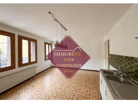 achat immeuble 178m² condrieu 69420