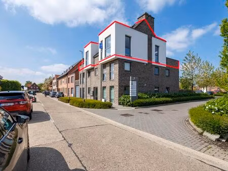 appartement à vendre à hoogstraten € 498.000 (lktkf) - michoel  bremans & hens | zimmo