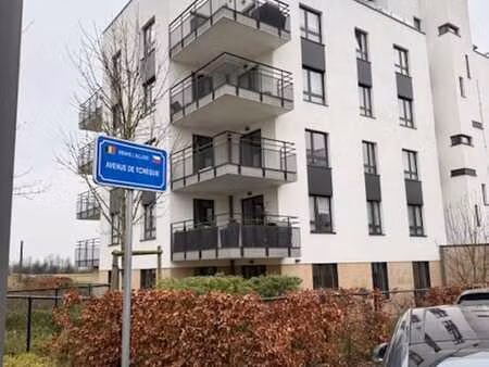 superbe appartement lumineux parc de l alliance