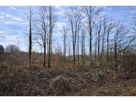 terrain à bâtir dans un cadre forestier