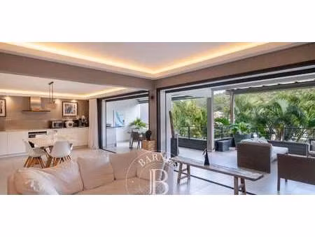 appartement saint-barthélemy (971)
