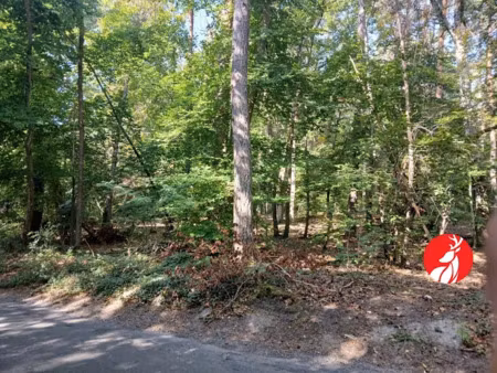 vente terrain 1695 m² à montigny-sur-loing (77690)  19 000 €