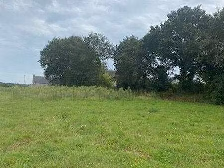 vente terrain à plomelin (29700) : à vendre / plomelin