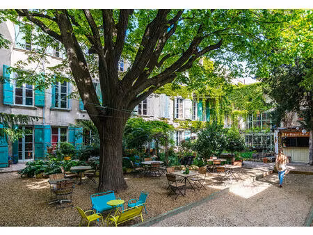 hôtel particulier d'exception à vendre à avignon