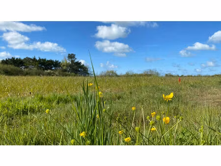 terrain à vendre à saint hilaire de riez - 47 000 €