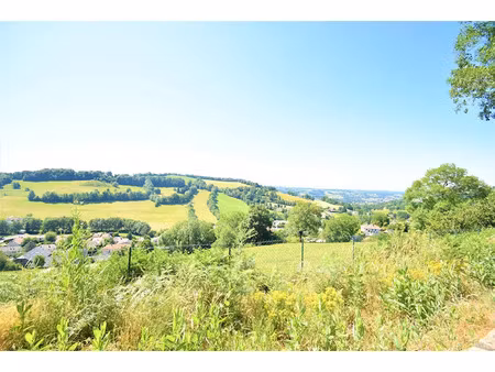 vente terrain 3340 m² à giou-de-mamou (15130)  91 800 €