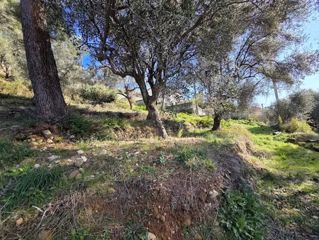 vente terrain à saint-martin-du-var (06670)  215 000 €
