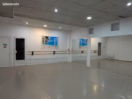 local commercial ou professionnel 69003-69100