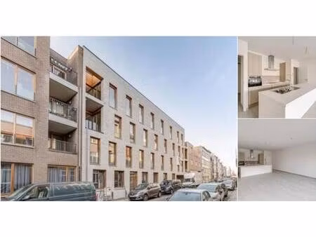 appartement à louer à haantjeslei 64 anvers (rbv25245)