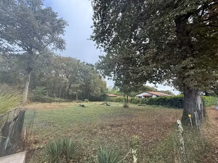 vente terrain 720 m² à saint-selve (33650)  149 500 €