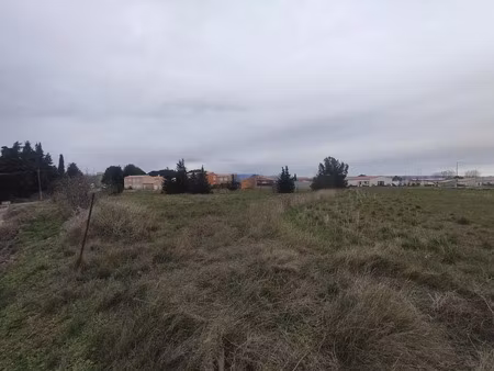 vente terrain 3000 m² à rieux-minervois (11160)  245 000 €