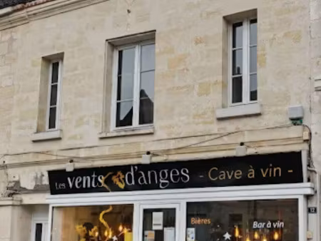 vente immeuble 11 pièces 188 m² à vernou-sur-brenne (37210)  482 000 €